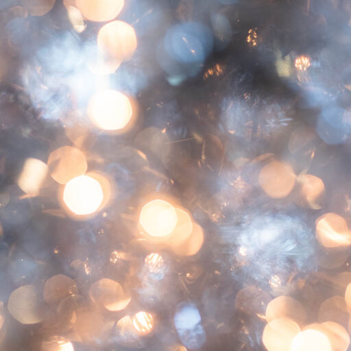 Shepherds – The Light of the Fire