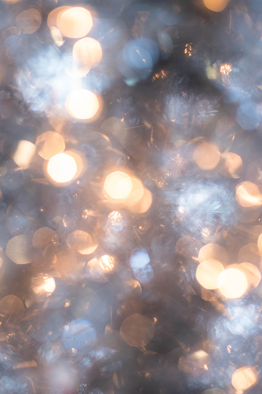 Shepherds – The Light of the Fire