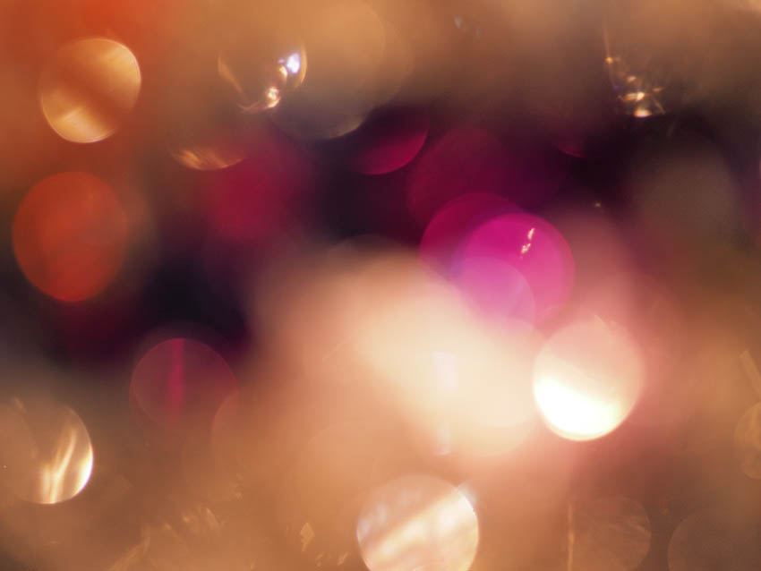 The Wise Men and the Stars – The Light of the Star