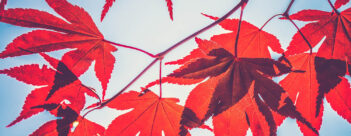 How do Pentecostals experience the Spirit?
