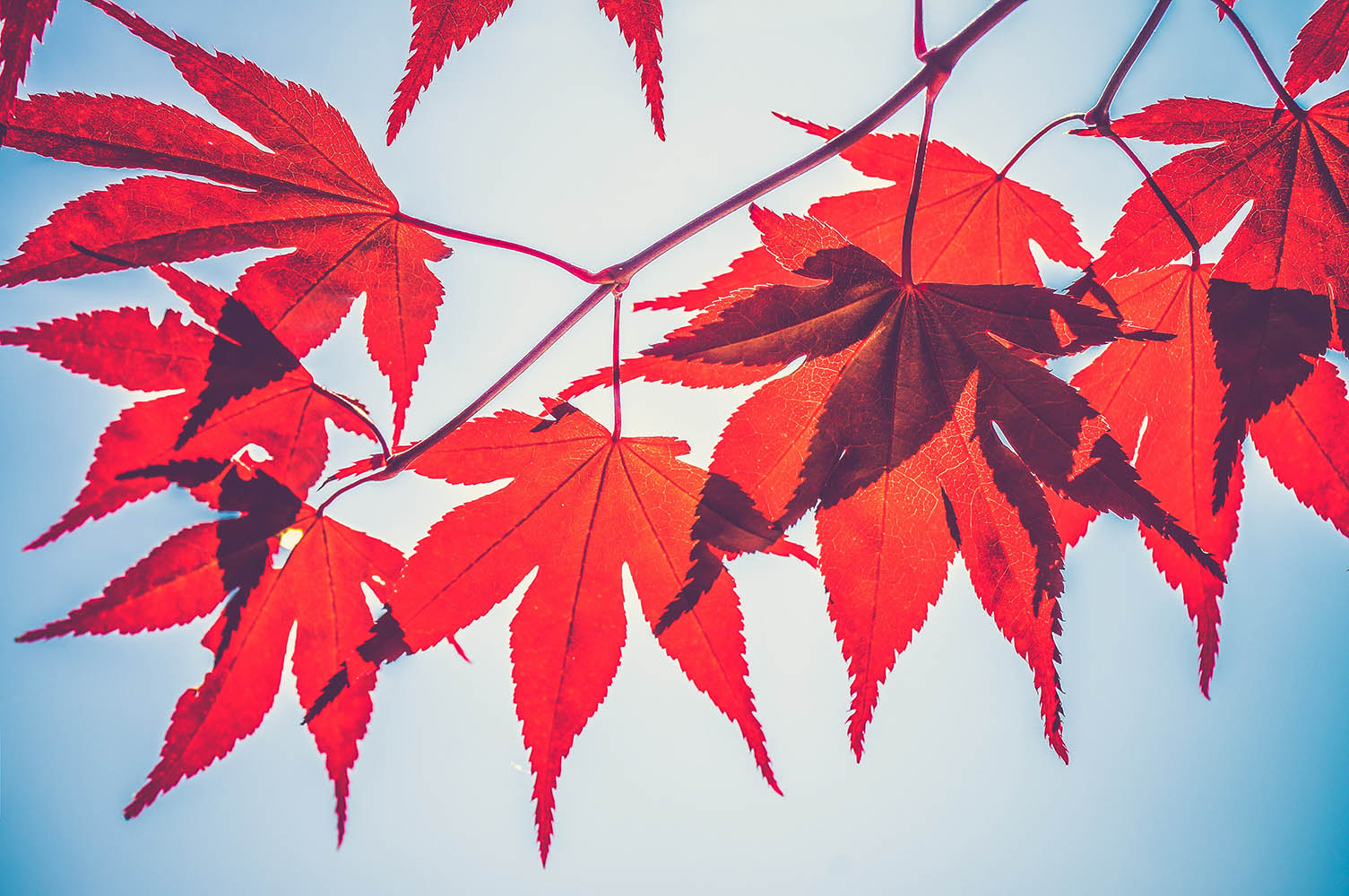 How do Pentecostals experience the Spirit?